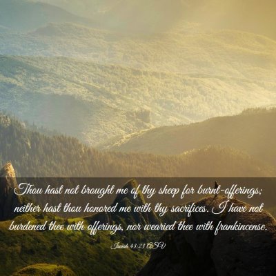 Picture 03 - Isaiah 43:23 ASV - Thou hast not brought me of thy sheep for - Bible Verse Picture