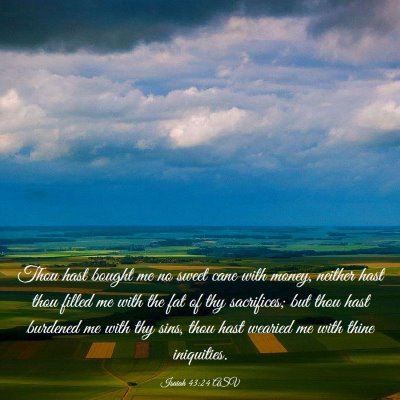Picture 03 - Isaiah 43:24 ASV - Thou hast bought me no sweet cane with money, - Bible Verse Picture