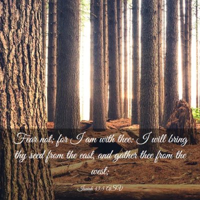Picture 03 - Isaiah 43:5 ASV - Fear not; for I am with thee: I will bring thy - Bible Verse Picture