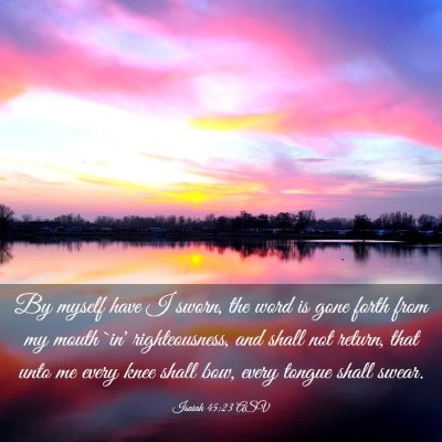 Picture 03 - Isaiah 45:23 ASV - By myself have I sworn, the word is gone forth - Bible Verse Picture