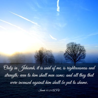 Picture 03 - Isaiah 45:24 ASV - Only in Jehovah, it is said of me, is - Bible Verse Picture