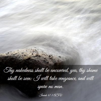 Picture 03 - Isaiah 47:3 ASV - Thy nakedness shall be uncovered, yea, thy shame - Bible Verse Picture