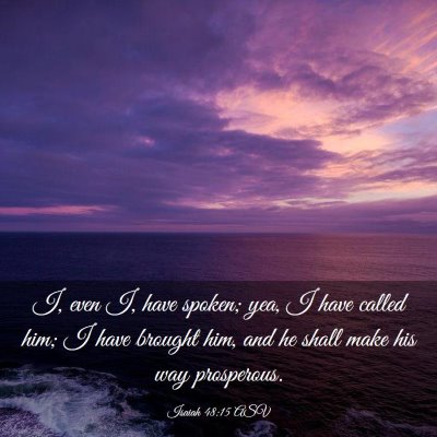 Picture 03 - Isaiah 48:15 ASV - I, even I, have spoken; yea, I have called him; I - Bible Verse Picture