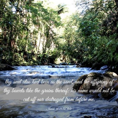 Picture 03 - Isaiah 48:19 ASV - thy seed also had been as the sand, and the - Bible Verse Picture