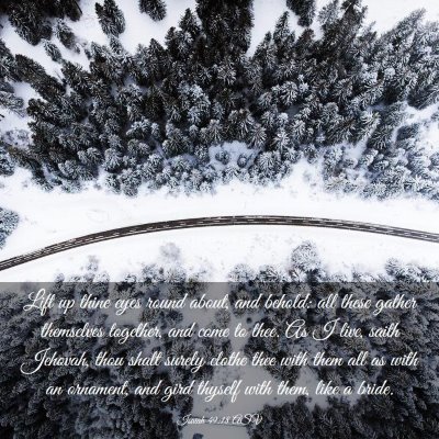 Picture 03 - Isaiah 49:18 ASV - Lift up thine eyes round about, and behold: all - Bible Verse Picture