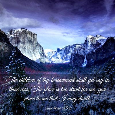 Picture 03 - Isaiah 49:20 ASV - The children of thy bereavement shall yet say in - Bible Verse Picture