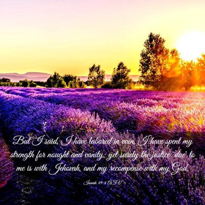 Picture 03 - Isaiah 49:4 ASV - But I said, I have labored in vain, I have spent - Bible Verse Picture