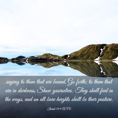 Picture 03 - Isaiah 49:9 ASV - saying to them that are bound, Go forth; to them - Bible Verse Picture
