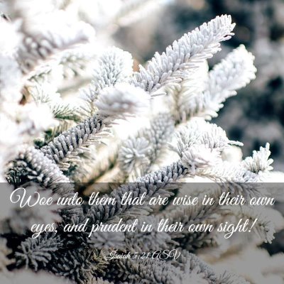 Picture 03 - Isaiah 5:21 ASV - Woe unto them that are wise in their own eyes, - Bible Verse Picture