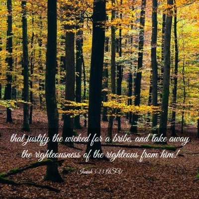 Picture 03 - Isaiah 5:23 ASV - that justify the wicked for a bribe, and take - Bible Verse Picture