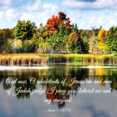 Picture 03 - Isaiah 5:3 ASV - And now, O inhabitants of Jerusalem and men of - Bible Verse Picture