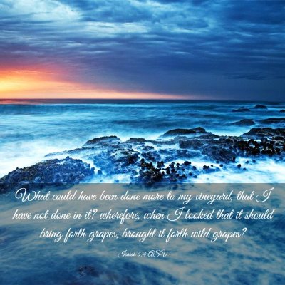 Picture 03 - Isaiah 5:4 ASV - What could have been done more to my vineyard, - Bible Verse Picture