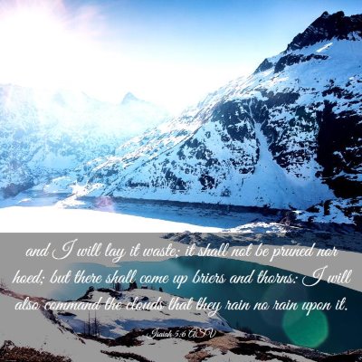 Picture 03 - Isaiah 5:6 ASV - and I will lay it waste; it shall not be pruned - Bible Verse Picture