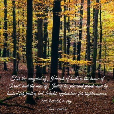 Picture 03 - Isaiah 5:7 ASV - For the vineyard of Jehovah of hosts is the house - Bible Verse Picture