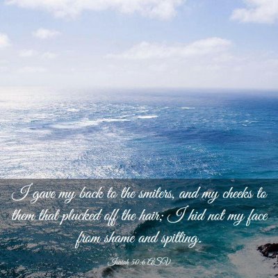 Picture 03 - Isaiah 50:6 ASV - I gave my back to the smiters, and my cheeks to - Bible Verse Picture