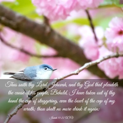 Picture 03 - Isaiah 51:22 ASV - Thus saith thy Lord Jehovah, and thy God that - Bible Verse Picture
