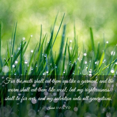 Picture 03 - Isaiah 51:8 ASV - For the moth shall eat them up like a garment, - Bible Verse Picture