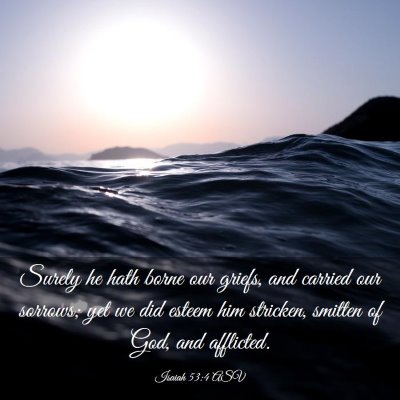 Picture 03 - Isaiah 53:4 ASV - Surely he hath borne our griefs, and carried our - Bible Verse Picture