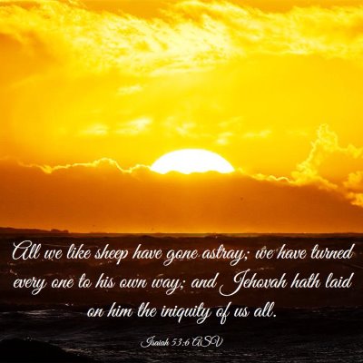 Picture 03 - Isaiah 53:6 ASV - All we like sheep have gone astray; we have - Bible Verse Picture