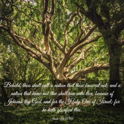 Picture 03 - Isaiah 55:5 ASV - Behold, thou shalt call a nation that thou - Bible Verse Picture