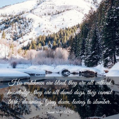 Picture 03 - Isaiah 56:10 ASV - His watchmen are blind, they are all without - Bible Verse Picture