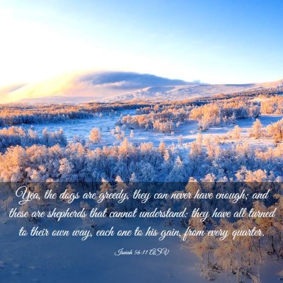 Picture 03 - Isaiah 56:11 ASV - Yea, the dogs are greedy, they can never have - Bible Verse Picture