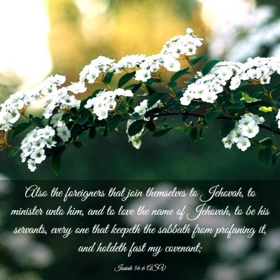 Picture 03 - Isaiah 56:6 ASV - Also the foreigners that join themselves to - Bible Verse Picture