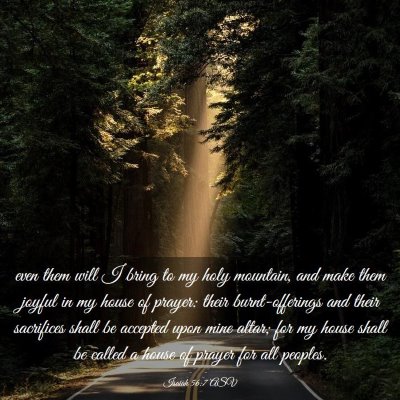 Picture 03 - Isaiah 56:7 ASV - even them will I bring to my holy mountain, and - Bible Verse Picture