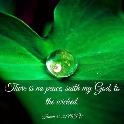 Picture 03 - Isaiah 57:21 ASV - There is no peace, saith my God, to the - Bible Verse Picture