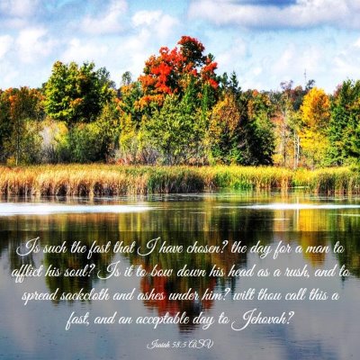 Picture 03 - Isaiah 58:5 ASV - Is such the fast that I have chosen? the day for - Bible Verse Picture