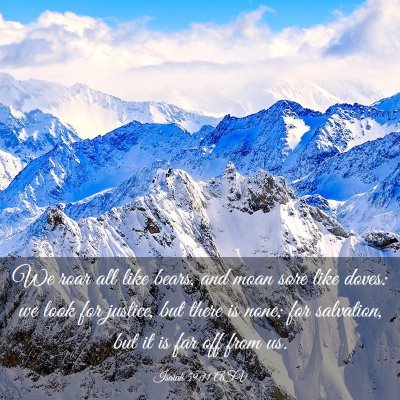 Picture 03 - Isaiah 59:11 ASV - We roar all like bears, and moan sore like doves: - Bible Verse Picture