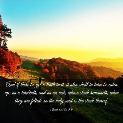 Picture 03 - Isaiah 6:13 ASV - And if there be yet a tenth in it, it also shall - Bible Verse Picture