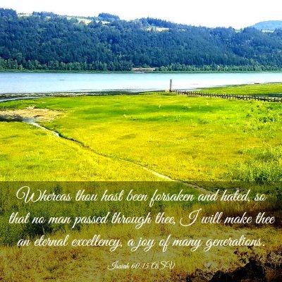 Picture 03 - Isaiah 60:15 ASV - Whereas thou hast been forsaken and hated, so - Bible Verse Picture