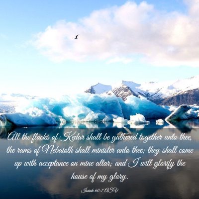Picture 03 - Isaiah 60:7 ASV - All the flocks of Kedar shall be gathered - Bible Verse Picture