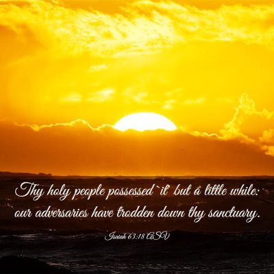Picture 03 - Isaiah 63:18 ASV - Thy holy people possessed `it' but a little - Bible Verse Picture