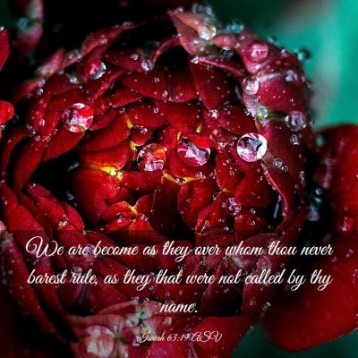 Picture 03 - Isaiah 63:19 ASV - We are become as they over whom thou never barest - Bible Verse Picture
