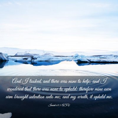 Picture 03 - Isaiah 63:5 ASV - And I looked, and there was none to help; and I - Bible Verse Picture