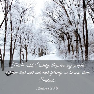 Picture 03 - Isaiah 63:8 ASV - For he said, Surely, they are my people, children - Bible Verse Picture