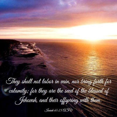 Picture 03 - Isaiah 65:23 ASV - They shall not labor in vain, nor bring forth for - Bible Verse Picture