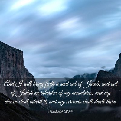 Picture 03 - Isaiah 65:9 ASV - And I will bring forth a seed out of Jacob, and - Bible Verse Picture