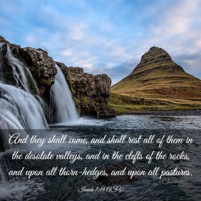 Picture 03 - Isaiah 7:19 ASV - And they shall come, and shall rest all of them - Bible Verse Picture