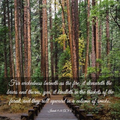 Picture 03 - Isaiah 9:18 ASV - For wickedness burneth as the fire; it devoureth - Bible Verse Picture