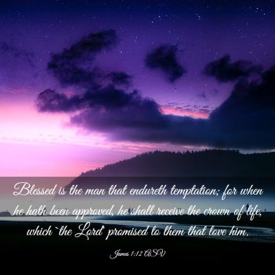 Picture 03 - James 1:12 ASV - Blessed is the man that endureth temptation; for - Bible Verse Picture