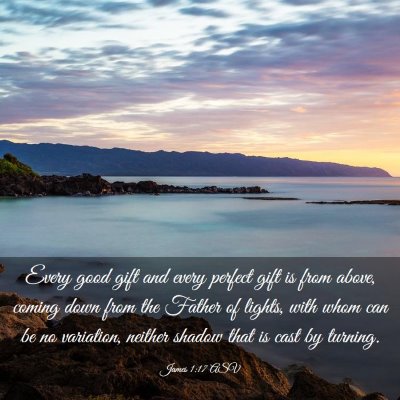 Picture 03 - James 1:17 ASV - Every good gift and every perfect gift is from - Bible Verse Picture