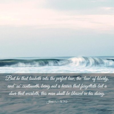 Picture 03 - James 1:25 ASV - But he that looketh into the perfect law, the - Bible Verse Picture