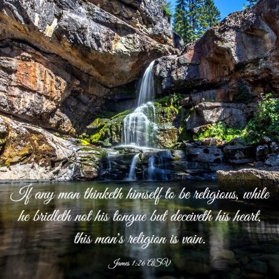 Picture 03 - James 1:26 ASV - If any man thinketh himself to be religious, - Bible Verse Picture