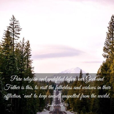 Picture 03 - James 1:27 ASV - Pure religion and undefiled before our God and - Bible Verse Picture