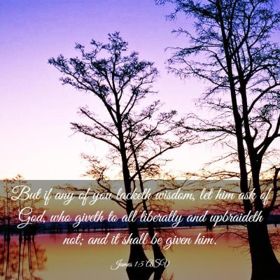 Picture 03 - James 1:5 ASV - But if any of you lacketh wisdom, let him ask of - Bible Verse Picture