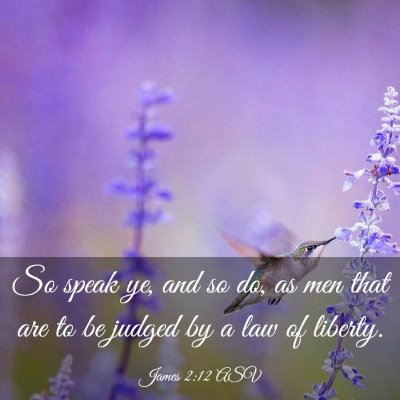 Picture 03 - James 2:12 ASV - So speak ye, and so do, as men that are to be - Bible Verse Picture