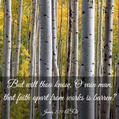 Picture 03 - James 2:20 ASV - But wilt thou know, O vain man, that faith apart - Bible Verse Picture